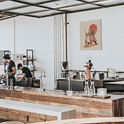 Obraz Veverička Sammy - Bannon Jane WDC100323