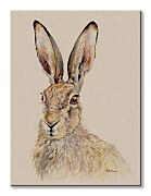 Obraz Zajko Tilly - obraz Bannon Jane WDC100324