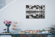 Palm Reflection -  Obraz Frates Dennis WDC100453