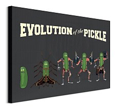 Obraz zo seriálu Rick and Morty Evolution Of The Pickle WDC100464
