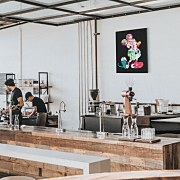 Tlačený Disney obraz Mickey Mouse Patterns WDC100471