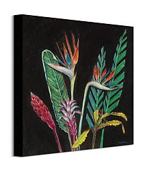 Obraz Dark Tropical I Ruffell Shyama WDC101060