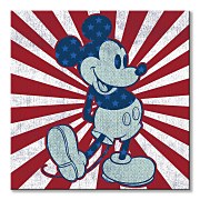 Rozprávkový obraz Myšiak Mickey WDC101097