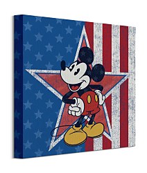 Mickey Mouse American Star - obraz WDC101129
