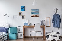 Odliv - obraz Last Joanne WDC101161