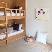 Velvet Orchid - Obraz WDC21230