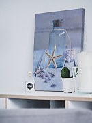 Seaside Treasure - Obraz WDC23140