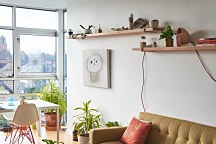 Jellyfish - Obraz  WDC42577