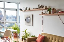 Puffafish - Obraz WDC42580