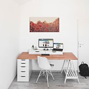 Field of Poppies - Obraz WDC44216