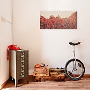 Field of Poppies - Obraz WDC44216