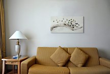 Drift of Butterflies - Obraz WDC44479