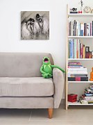 Premiera - Obraz WDC44711