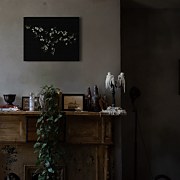 Blossom, Butterflies - Obraz WDC44729