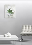 White Still Life III - Obraz WDC44732