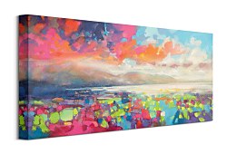 Resonant Colour - obraz WDC91091