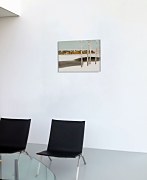 Four Trees - Obraz WDC92699