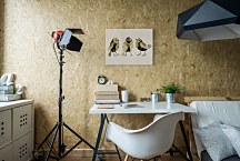 Finches - Obraz WDC92753