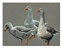 Having a Gander - obraz na plátne Bannon Jane WDC92895