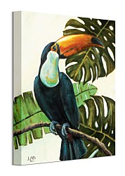 Urban Jungle obraz - Tropical Toucan Brown Louise WDC92896