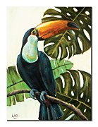 Urban Jungle obraz - Tropical Toucan Brown Louise WDC92896