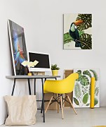 Urban Jungle obraz - Tropical Toucan Brown Louise WDC92896