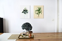 Piddix obraz Curry Palm WDC92909