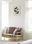 Butterflies II - obraz WDC92913