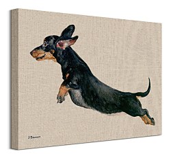 Freddy - obraz Bannon Jane WDC92939