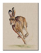 Holly - obraz Bannon Jane WDC92941