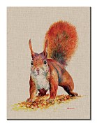 Sammy - obraz Bannon Jane WDC92947