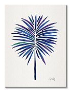 Indigo Fan Palm - obraz WDC92969