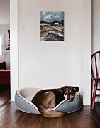 A Cold Night in Autumn - obraz WDC92975