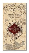 Harry Potter (The Marauders Map) - Obraz WDC93235