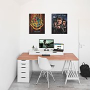 Harry Potter (Harry Ron Hermione) - Obraz  WDC94234