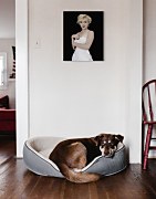 Marilyn Monroe (Pose) - Obraz WDC94460