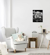 Tiger Stare - Obraz WDC94635