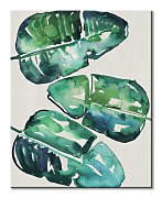 Banana Leaves - Obraz WDC94650