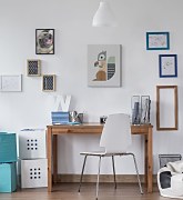 Squirrel - obraz WDC94740