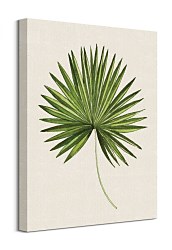 Tropical Leaf III - obraz Thornton Summer WDC94747
