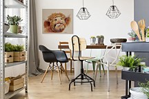 Baxter - obraz WDC94802