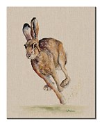 Holly - obraz na stenu Bannon Jane WDC94809