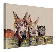 Johnny, Freckles & Halfpint - obraz na stenu Bannon Jane WDC94810