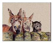 Johnny, Freckles & Halfpint - obraz na stenu Bannon Jane WDC94810