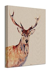 Montgomery - obraz Bannon Jane WDC94811