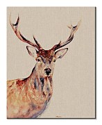 Montgomery - obraz Bannon Jane WDC94811