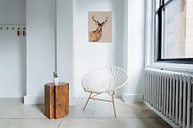 Montgomery - obraz Bannon Jane WDC94811