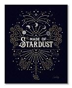 Made of Stardust - obraz WDC94843
