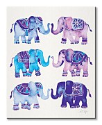 Coquillette Cat - Elephants - obraz WDC94846