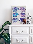 Coquillette Cat - Elephants - obraz WDC94846